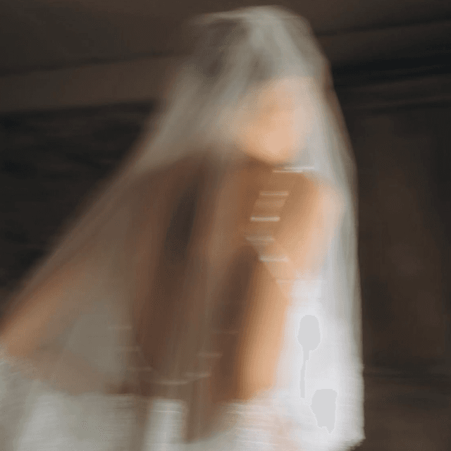 The Glass Skin Bride 